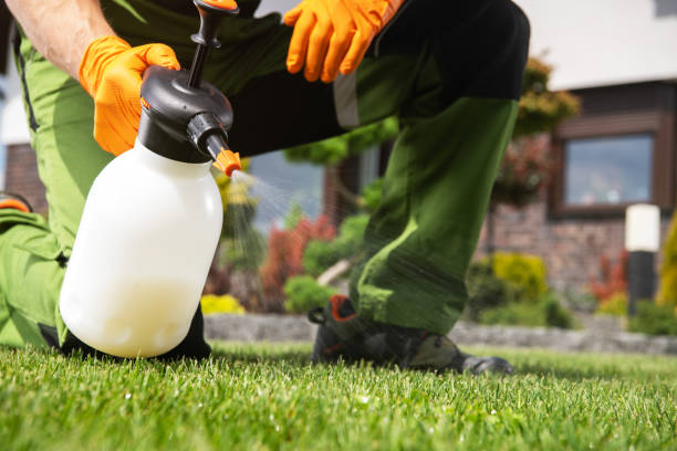 Best Pest Prevention Services  in Telluride, CO